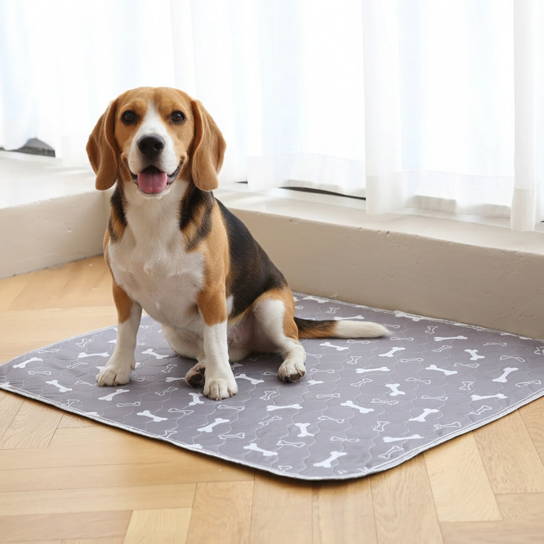 Novapaw Pup Pad (1 Pack)