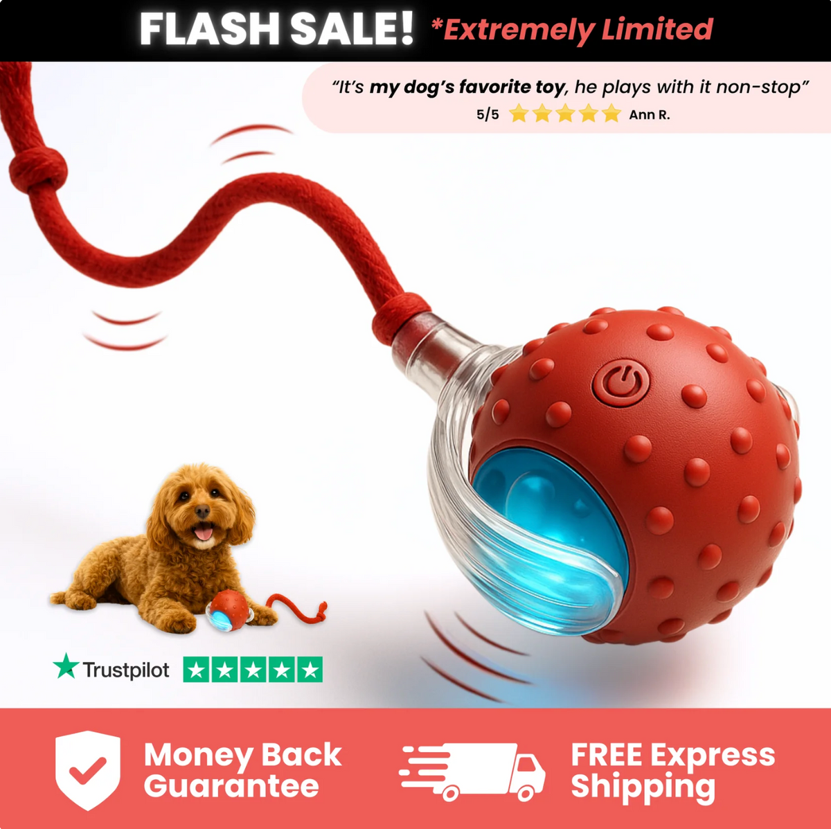 ChaseMate (2-Pack)